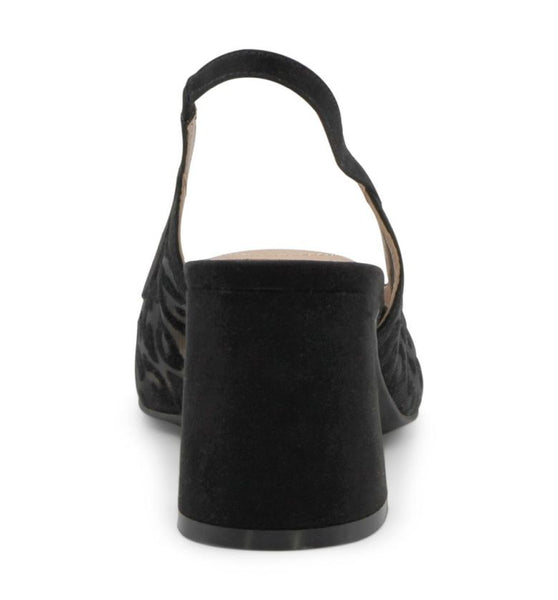 Black Leop