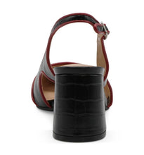 Black-Red