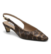 Dark Brown Leop