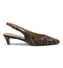 Dark Brown Leop
