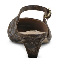 Dark Brown Leop