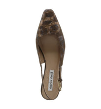 Dark Brown Leop
