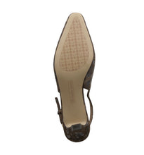 Dark Brown Leop