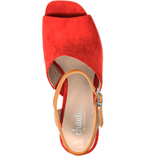 Hot Red Camel