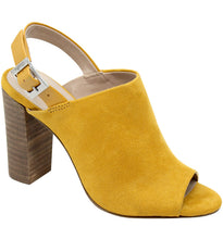 Mustard